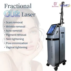 High-Efficiency Fractional CO2 Laser Equipment for Vaginal Rejuvenation Pigment Removal
