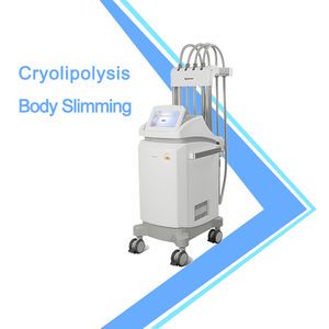 New Technology More Enjoyable Permanent Cryolipolysis Lipolysis Lipo Laser Machine