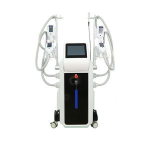 Forimi Ce Approved 100% Fat Freeze Cryo Lipolysis 2 Handles Criolipolisis Machine