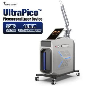 532nm 755nm 1064nm Real Pico Laser Handle Lamp ND: YAG Equipment