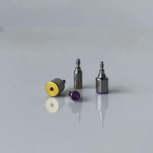 Patient-Specific Healing Abutment for Customized Gum Shaping with Tailored Solutions