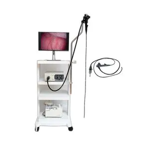 Medical Flexible Endoscopes Are Suitable for Gastrointestinal Use in Human Surgical Endoscopy Cameras Veterinary Video Gastroscope