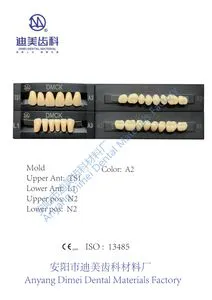 High Hardness Endura Two Layers Resin Polymer Tooth for Dentist About Mold Ts1/L1/N2