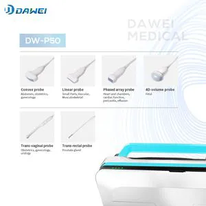 Advanced Technology 4D 5D Large Screen Ultrasound From Chinese Supplier