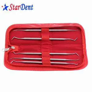 5 PCS New Dental Instrument Pk Thomas Set Stainless Steel 304