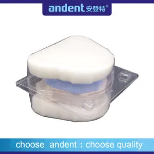 Dental PP Material Transportation Package Box with Sponge