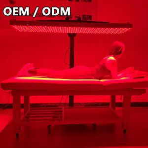 High Irradiance 3000W Infrared Lamp 5 Wavelengths Customized Full-Body Red Light Therapy Panel Factory Price