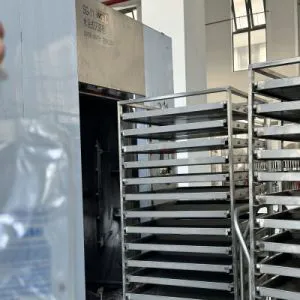 Stainless Steel Steam Cabinet Sterilization Machine/Bottle Steam Autoclave Sterilization Process