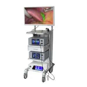 Geiwre 4K3d Fluorescent Medical Endoscope Camera System for Laparoscopy with a High Color Gamut