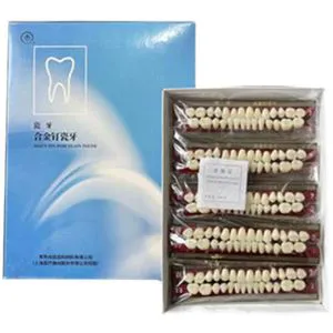 Dental Lower Anteriors Porcelain Teeth