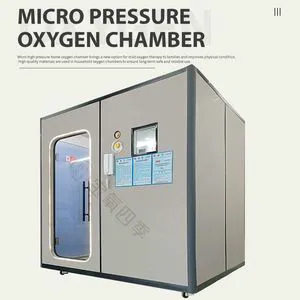 High Quality Luxurious Hard Type Customizable Double Person Micro Hyperbaric Oxygen Chamber