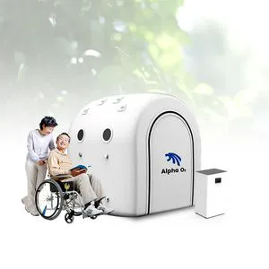 Mild Hyperbaric Oxygen Chamber for Autism Kids Hyperbaric Oxygenation Chamber
