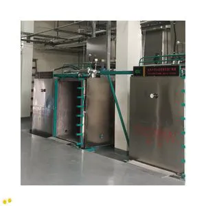 Fully Automated Ethylene Oxide Sterilizer Equipment with Sliding Door