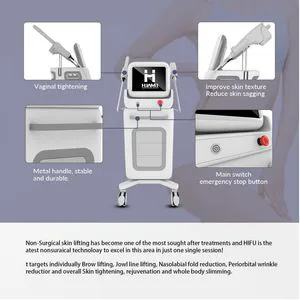 Hot Selling 4D Hifu Machine Skin Lifting Tightening Anti Aging 5D Ice Hifu 7D Machine