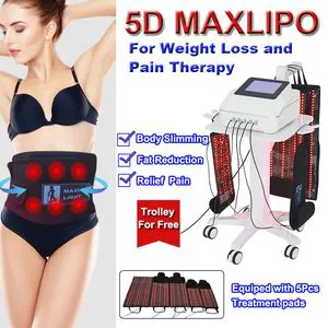 CE FDA 5D Maxlipo Lipolaser Body Shaping Machine Pain Therapy Diode Laser