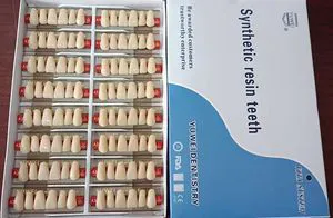 Ce-Approval! ! ! 2019 Best Selling 2-Layer Acrylic Teeth