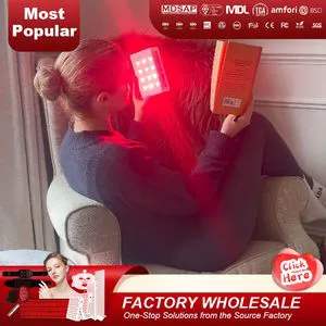 Portable 60W Small Size Red Light Therapy Panel Device