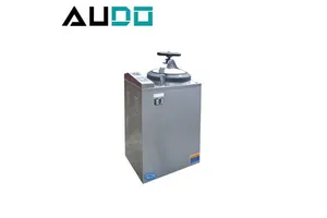 Electric-Heated Pluse Vacuum Automatic Vertical Autoclave Steam Sterilizer