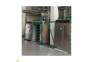 Fully Automated Ethylene Oxide Sterilizer Equipment with Sliding Door
