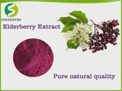 Sambucus Nigra Extract Anthocyanidins 25% Elderberry Extract CAS No.: 84603-58-7