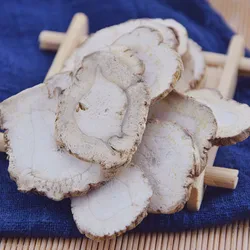 Premium Crude Medicine Radix Angelicae (Bai Zhi) for Natural Remedies