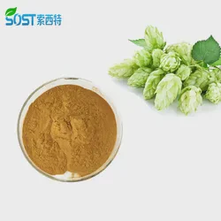 SOST Factory High Quality Bulk 5% Xanthohumol Hops Extract Powder