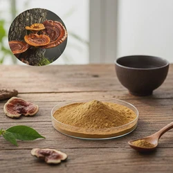 Factory Supply of Premium Ganoderma Lucidum Extract 10% Polysaccharide