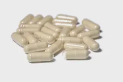 GMP Garcinia Cambogia Extract Hard Capsule Private Label for Weight Loss