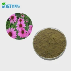 Immunity Supplement EU Organic Echinacea Purpurea Extract Powder