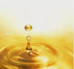 High Quality Food Grade Fish Oil DHA EPA Fish Oil