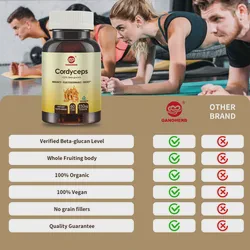 Organic Plant Extract Capsule Cordyceps Militaris Health Product Capsule Label