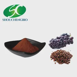Factory Bulk Price Grape Seed Extract Powder Wholesale Organic Grape Seed Extract