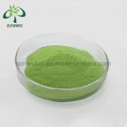 Sonwu Supply High Quality Green Tea Powder Matcha