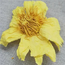 Huang Lian Hua Natural Nymphaea Caerulea Flower Dried Yellow Lotus Flower Tea