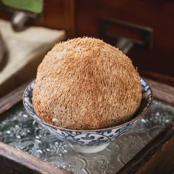 Premium Dried Lion's Mane Mushroom for Natural Health Benefits