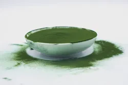120 Mesh Chlorella Powder Natural Chlorella Vulgaris Powder