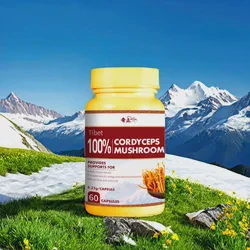 Organic Cordyceps Mushroom Extract for Energy and Wellness