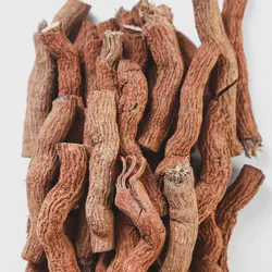 Premium Wholesale Black Pepper Root - Natural Spice Radix Piper Nigrum