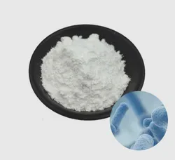 Advanced Formula with Lactobacillus Gasseri for Women's Intimate Care and Microbiota Balance