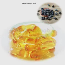 Ausreson OEM Ultra Material Vascular System Health Gla Borage Oil Softgel Capsule