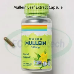 Ausreson OEM Being Mullein Leaf Capsules Lung Cleanse Mullein Leaf Extract Capsule