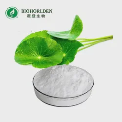 Health Supplement Natural Gotu Kola Extract Asiaticoside 5% -95% Centella Asiatica Extract