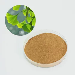Ginkgo Biloba Leaf Extract Flavone 24% Terpene Lactones 6% Powder Lower Blood Pressure