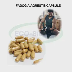 Ausreson Hot Selling Male Health Healthcare Supplement 500mg Fadogia Agrestis Extract Capsule