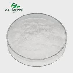 Orange Nobiletin Hesperidin Limonin Bioflavonoid Wellgreen Citrus Aurantium Extract Powder