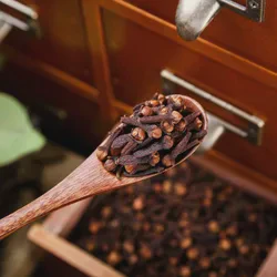 Natural Spice Clove Bud Traditional Chinese Medicine Flos Caryophylli for Health