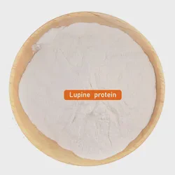 Premium Organic Faba Bean Protein Concentrate for Vegans