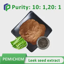 Pemichem Factory Direct Supply 100% Natural Leek Seed Extract (Ratio Extract 4: 1~20: 1) Leek Seed Extract Chinese Chive Seed Extract