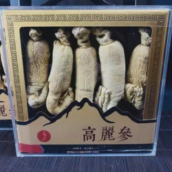 High Quality Panax Ginseng 10 Year Ginseng Root