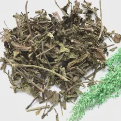 Mao Xu Cao High Quality Supplies Wholesale Bulk Natural Herb Medicine Cat Whisker Grass for Sale